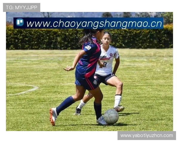 乐鱼体育leyu荣获多项行业大奖彰显其在体育娱乐领域的领导地位