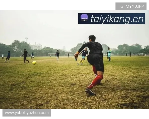 开云体育入口链接更新公告，第一时间掌握最新入口地址和相关变动信息